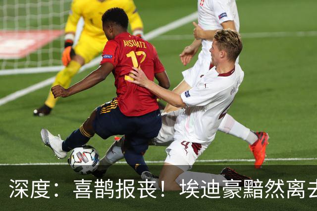 深度：喜鹊报丧！埃迪豪黯然离去 大病纽卡一地鸡毛