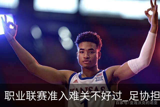 职业联赛准入难关不好过 足协担心并不是多余